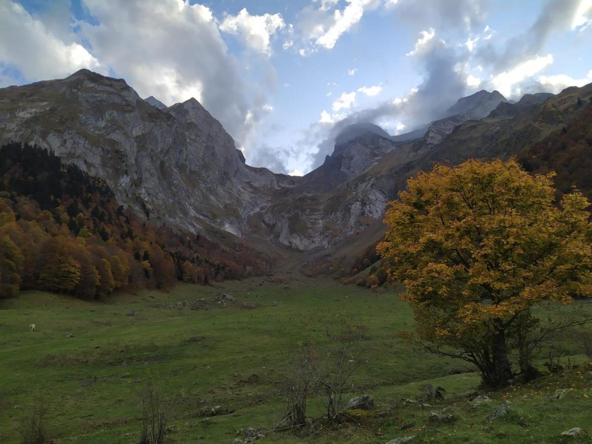 Co Dera Piusa *